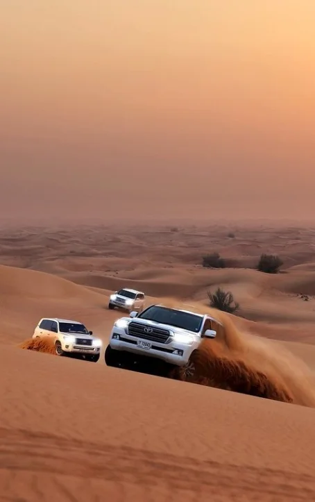 evening desert safari